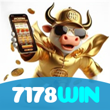 Segurança no 7178WIN